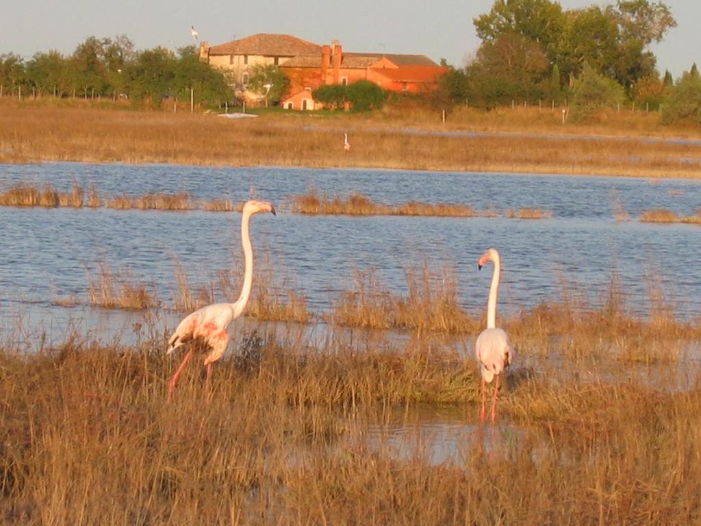 Agriturismo La Barena Jesolo Bilik gambar